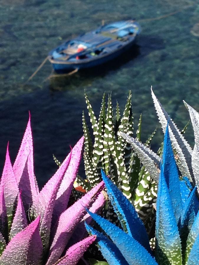 Casa Il Soffio Di Eolo Guest house Scilla